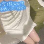 ヒメ日記 2024/06/27 13:17 投稿 まり 桃色☆めぃぷるシロップ