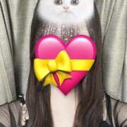 ヒメ日記 2025/02/14 22:57 投稿 まい クラブアリア -CLUB ARIA-