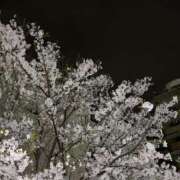 ヒメ日記 2025/04/17 20:47 投稿 まい クラブアリア -CLUB ARIA-