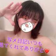 ヒメ日記 2025/04/20 09:48 投稿 ゆめか チェックイン横浜女学園