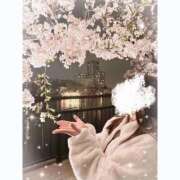 ヒメ日記 2025/06/26 18:03 投稿 しずく ぷるりんクエスト上野浅草鶯谷秋葉原デリヘル王国