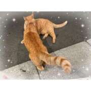 ヒメ日記 2025/07/09 12:03 投稿 しずく ぷるりんクエスト上野浅草鶯谷秋葉原デリヘル王国