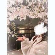 ヒメ日記 2025/12/21 12:24 投稿 しずく ぷるりんクエスト上野浅草鶯谷秋葉原デリヘル王国