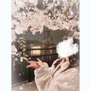 ヒメ日記 2026/03/25 17:24 投稿 しずく ぷるりんクエスト上野浅草鶯谷秋葉原デリヘル王国