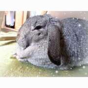 ヒメ日記 2026/03/29 22:24 投稿 しずく ぷるりんクエスト上野浅草鶯谷秋葉原デリヘル王国