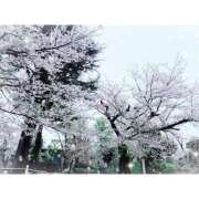 ヒメ日記 2026/04/05 16:24 投稿 しずく ぷるりんクエスト上野浅草鶯谷秋葉原デリヘル王国