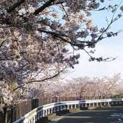 ヒメ日記 2025/04/09 09:01 投稿 さくら 熟女家 十三店