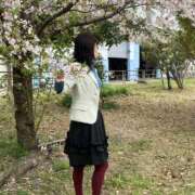 ヒメ日記 2025/04/14 09:07 投稿 さくら 熟女家 十三店