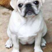 ヒメ日記 2025/12/03 09:02 投稿 さくら 熟女家 十三店