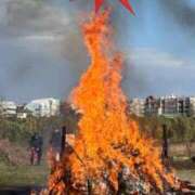 ヒメ日記 2026/01/15 09:10 投稿 さくら 熟女家 十三店