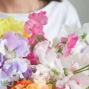 さくら おっはよぉー? 熟女家 十三店