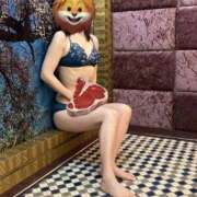 ヒメ日記 2026/02/09 09:20 投稿 さくら 熟女家 十三店