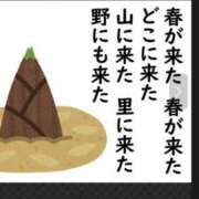 ヒメ日記 2026/03/01 08:27 投稿 さくら 熟女家 十三店