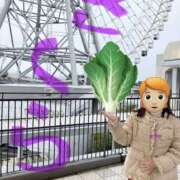 ヒメ日記 2026/03/02 09:15 投稿 さくら 熟女家 十三店