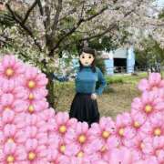 ヒメ日記 2026/04/01 08:11 投稿 さくら 熟女家 十三店