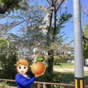 ヒメ日記 2026/04/14 09:03 投稿 さくら 熟女家 十三店