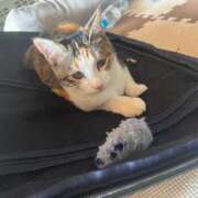 ヒメ日記 2024/12/18 13:03 投稿 さつき ぽちゃLOVE(サンライズグループ)