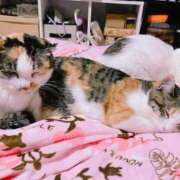 ヒメ日記 2025/01/22 22:03 投稿 さつき ぽちゃLOVE(サンライズグループ)