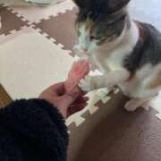 ヒメ日記 2025/02/17 14:19 投稿 さつき ぽちゃLOVE(サンライズグループ)