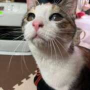 ヒメ日記 2025/02/27 18:20 投稿 さつき ぽちゃLOVE(サンライズグループ)