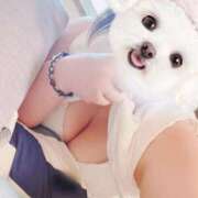 ヒメ日記 2025/07/27 20:12 投稿 さつき ぽちゃLOVE(サンライズグループ)