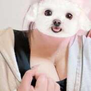 ヒメ日記 2025/10/28 10:48 投稿 さつき ぽちゃLOVE(サンライズグループ)