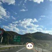 ヒメ日記 2025/11/15 14:09 投稿 さつき ぽちゃLOVE(サンライズグループ)