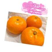 ヒメ日記 2025/12/30 16:00 投稿 さつき ぽちゃLOVE(サンライズグループ)