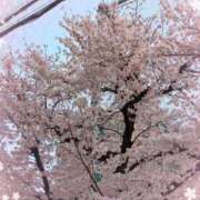 ヒメ日記 2025/04/07 12:31 投稿 つかさ 熟女家 十三店