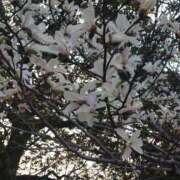 ヒメ日記 2026/04/04 19:05 投稿 ふじこ 熟女家 十三店