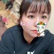 ヒメ日記 2025/04/01 12:10 投稿 ねね ちゃんこ本厚木店