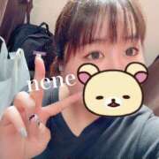 ヒメ日記 2025/04/02 11:44 投稿 ねね ちゃんこ本厚木店