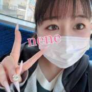 ヒメ日記 2025/04/04 10:50 投稿 ねね ちゃんこ本厚木店