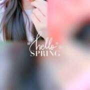 ヒメ日記 2026/04/01 12:06 投稿 弦波(いとは) PLUS難波店