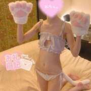 ヒメ日記 2025/07/10 17:03 投稿 うの 黒い金魚（札幌）