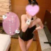 ヒメ日記 2025/09/24 11:04 投稿 うの 黒い金魚（札幌）