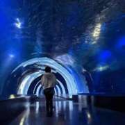 ヒメ日記 2025/12/27 21:14 投稿 凪あすか 金瓶梅(きんぺいぱい)(雄琴)