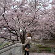 ヒメ日記 2026/05/03 19:44 投稿 凪あすか 金瓶梅(きんぺいぱい)(雄琴)