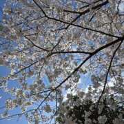 ヒメ日記 2025/04/04 23:01 投稿 みかん 和歌山人妻援護会