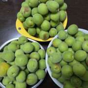 ヒメ日記 2025/06/04 01:28 投稿 みかん 和歌山人妻援護会