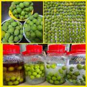 ヒメ日記 2025/06/04 15:33 投稿 みかん 尼崎人妻援護会