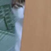 ヒメ日記 2025/06/08 08:56 投稿 嘉成いぶき(よしなりいぶき) 五十路マダムエクスプレス厚木店(カサブランカグループ)