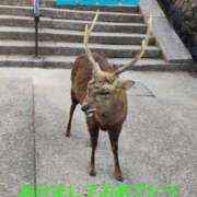 ヒメ日記 2025/01/02 21:03 投稿 のあ 妻天 京橋店