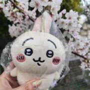 ヒメ日記 2025/04/08 21:23 投稿 のあ 妻天 京橋店