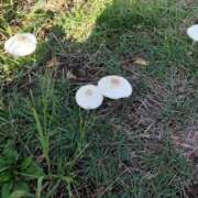 ヒメ日記 2025/09/16 08:59 投稿 のあ 妻天 京橋店