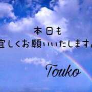 ヒメ日記 2024/07/30 13:04 投稿 透子(とうこ) 五十路エステハイブリッド(カサブランカグループ)