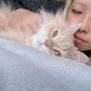 ヒメ日記 2025/02/04 09:24 投稿 さとみ カワサキEROTIC（ソープランド）