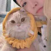 ヒメ日記 2025/02/13 08:00 投稿 さとみ カワサキEROTIC（ソープランド）