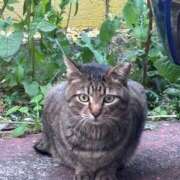 ヒメ日記 2025/02/18 23:45 投稿 さとみ カワサキEROTIC（ソープランド）