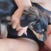 ヒメ日記 2025/07/29 18:07 投稿 さとみ カワサキEROTIC（ソープランド）